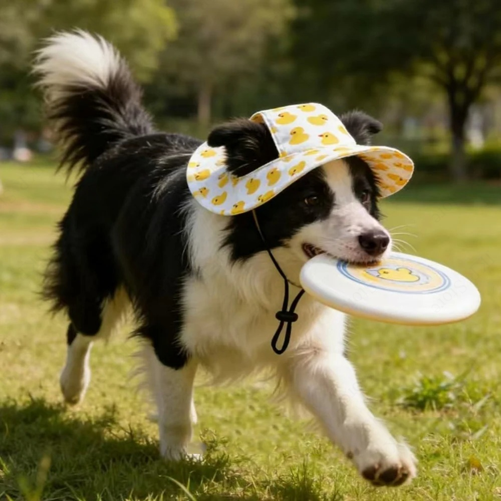 Printed Pet Dog Hat Adjustable - Running Cap Lightweight reseña y precio