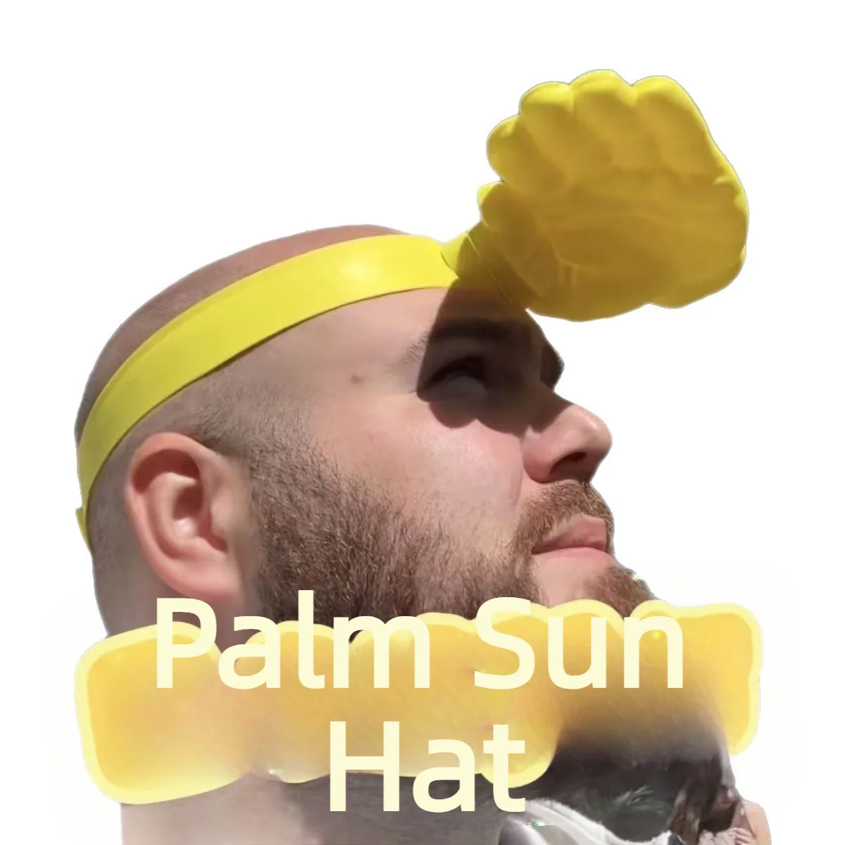 1/3Pcs Novelty 3D Palm Hand Sh - Visor Sun Hat reseña y precio